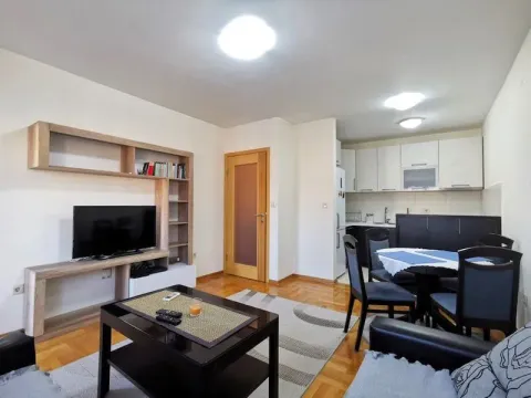 Rent, two bedroom apartment, 55m², Stari Aerodrom, Podgorica - image 2