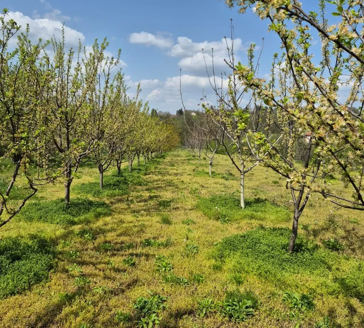Prodaja, plac, 2950m², Voždovac Sve Podlokacije, Beograd