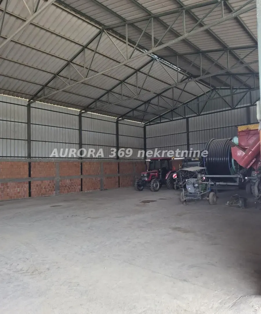 Izdavanje, poslovni prostor, 1000m², Irig, Srbija