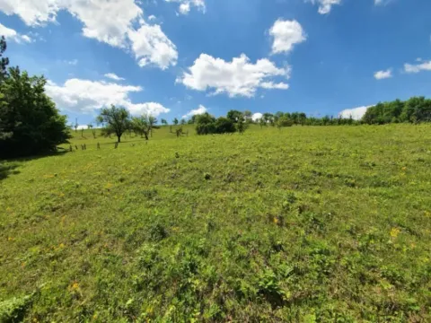 Sale, land lot, 44000m², Rasadnik, Bijelo Polje - image 12