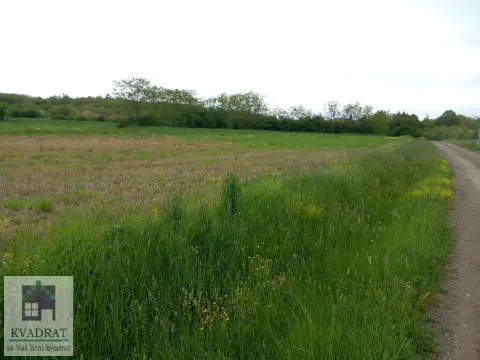 Prodaja, plac, 1800m², Sopot, Beograd - image 3