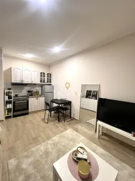 Rent, studio apartment, 25m², Zabjelo, Podgorica - image 2