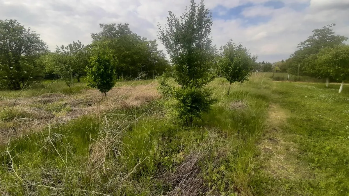 Prodaja, kuća, 205m², Vrbas, Novi Sad