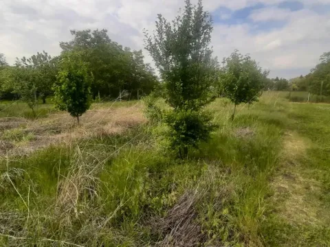 Prodaja, kuća, 205m², Vrbas, Novi Sad - image 24