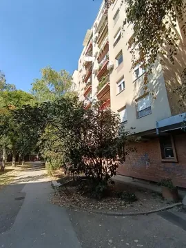 Pogled na spoljašnjost zgrade sa zelenilom i stazom ispred ulaza. - image 2