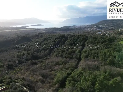 Prodaja, plac, 58950m², Kavač, Kotor - image 2