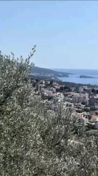 Pogled na grad i more sa zelenilom u prvom planu. - image 12