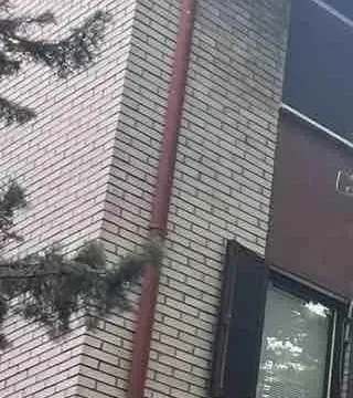 Prodaja, dvosoban stan, 51m², Mirijevo 1, Mirijevo Sve Podlokacije - image 10