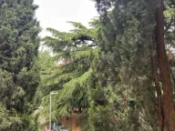 Izdavanje, jednosoban stan, 44m², Preko Morače, Podgorica - image 10