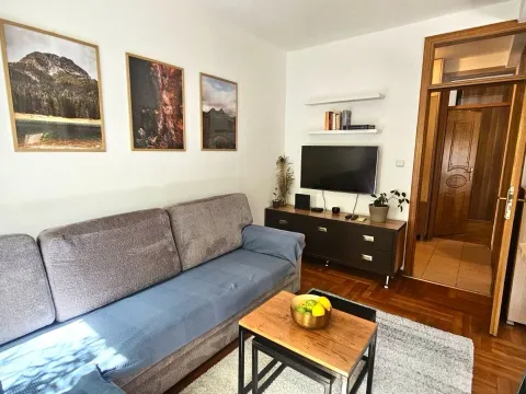 Izdavanje, jednosoban stan, 38m², Pod Goricom, Podgorica - image 7