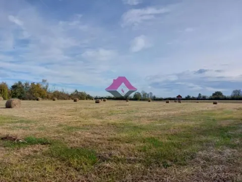 Prodaja, plac, 10400m², Koraćica, Mladenovac - image 3