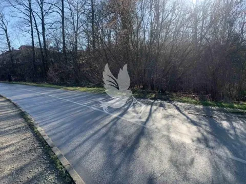 Prodaja, plac, 4000m², Koraćica, Mladenovac - image 4