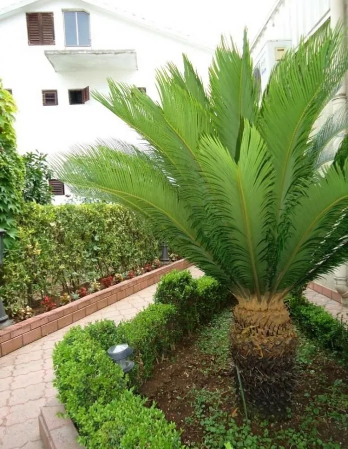 Sale, house, 400m², Budva, Crna Gora