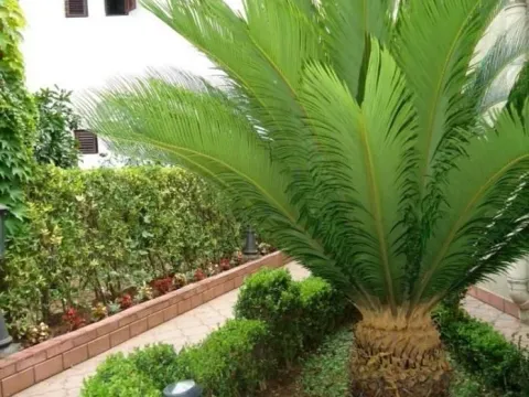 Prodaja, kuća, 400m², Budva, Crna Gora - image 4