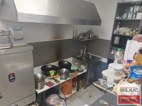 Izdavanje, ugostiteljski objekat, 200m², Sajmište, Novi Sad - image 13