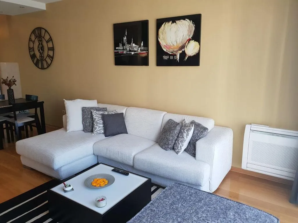 Rent, one bedroom apartment, 55m², Preko Morače, Podgorica