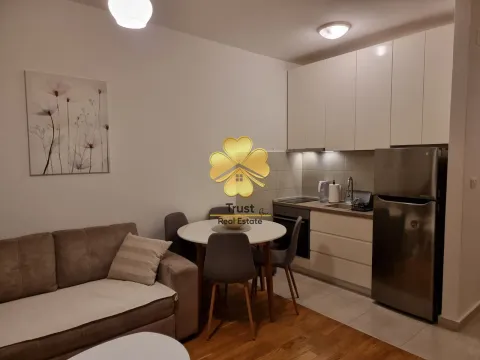 Izdavanje, garsonjera, 31m², Ljubović, Podgorica - image 7