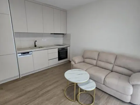 Izdavanje, jednosoban stan, 30m², Sremska Kamenica, Petrovaradin - image 4