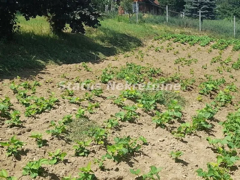 Sale, house, 30m², Beočin, Srbija