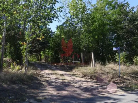 Sale, house, 72m², Golubac, Srbija - image 6