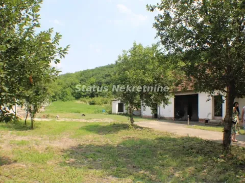 Sale, house, 281m², Titel, Novi Sad - image 5