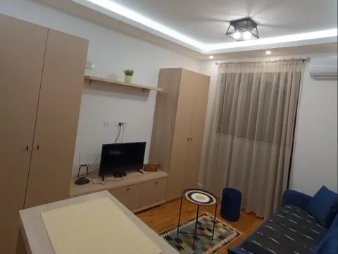 Rent, studio apartment, 30m², Zabjelo, Podgorica - image 3