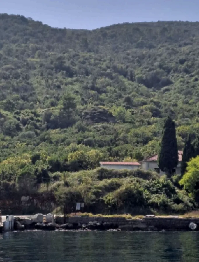 Prodaja, plac, 9500m², Krašići, Tivat
