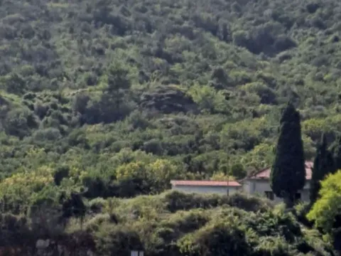 Prodaja, plac, 9500m², Krašići, Tivat - image 3