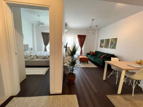 Izdavanje, jednosoban stan, 48m², Momišići, Podgorica - image 6