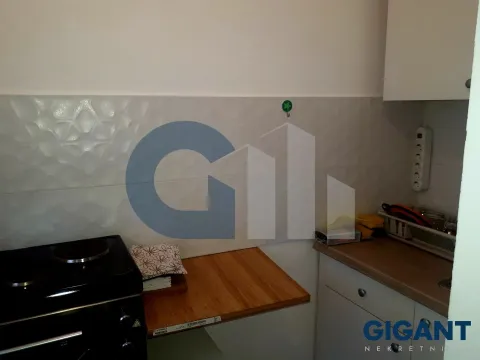 Izdavanje, jednosoban stan, 33m², Vračar Hram, Vračar Sve Podlokacije - image 12