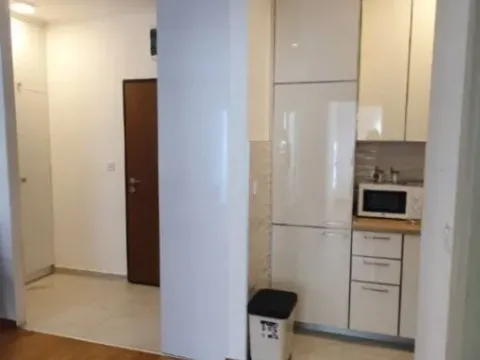 Izdavanje, jednosoban stan, 45m², Budva, Crna Gora - image 6