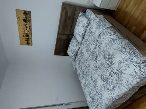 Izdavanje, jednosoban stan, 45m², Zabjelo, Podgorica - image 12