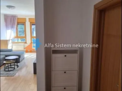Rent, two bedroom apartment, 50m², Južni Bulevar, Vračar Sve Podlokacije - image 10