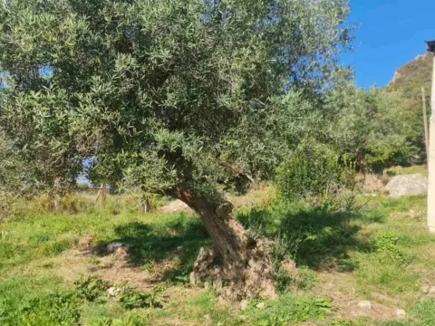 Prodaja, plac, 1058m², Herceg Novi, Crna Gora - image 2