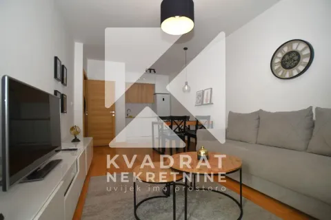 Rent, one bedroom apartment, 47m², New City, Podgorica - image 2