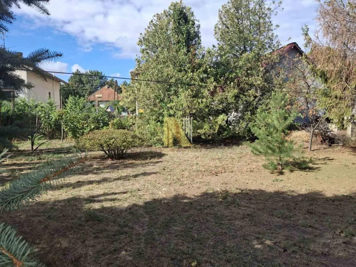 Pogled na zeleno dvorište sa drvećem i rastinjem.