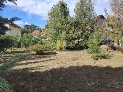 Pogled na zeleno dvorište sa drvećem i rastinjem. - image 4