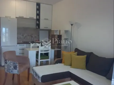 Izdavanje, stan, 27m², Stari Aerodrom, Podgorica - image 3
