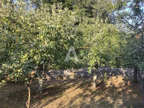 Prodaja, kuća, 180m², Zelenika, Herceg Novi - image 19