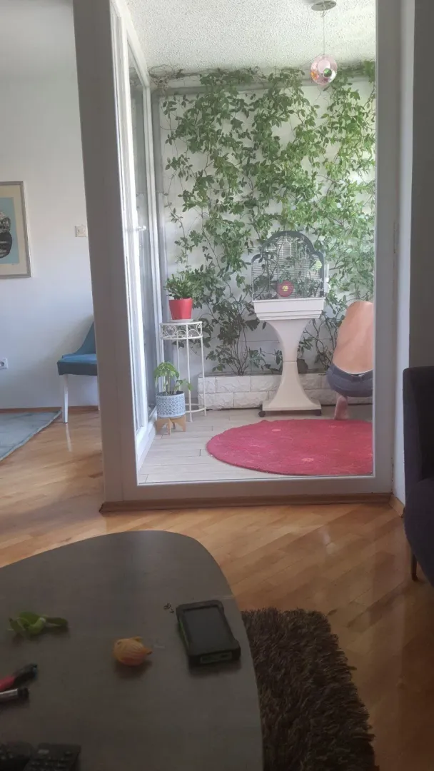 View from the living room towards a glazed balcony with a green wall.