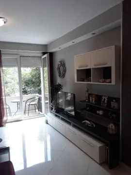 Izdavanje, jednosoban stan, 66m², Centar, Cetinje - image 4