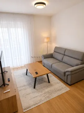 Rent, one bedroom apartment, 44m², Pobrežje, Podgorica - image 1