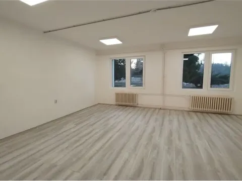 Izdavanje, poslovni prostor, 886m², Apelovac, Niš - image 13