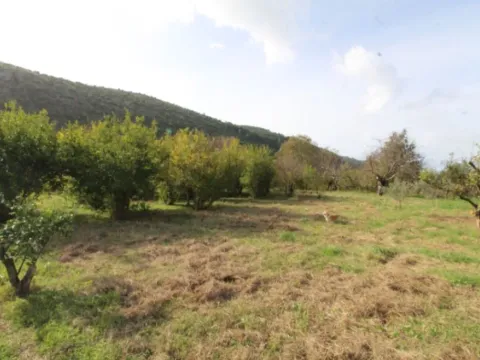 Prodaja, plac, 400m², Tomba, Bar - image 3