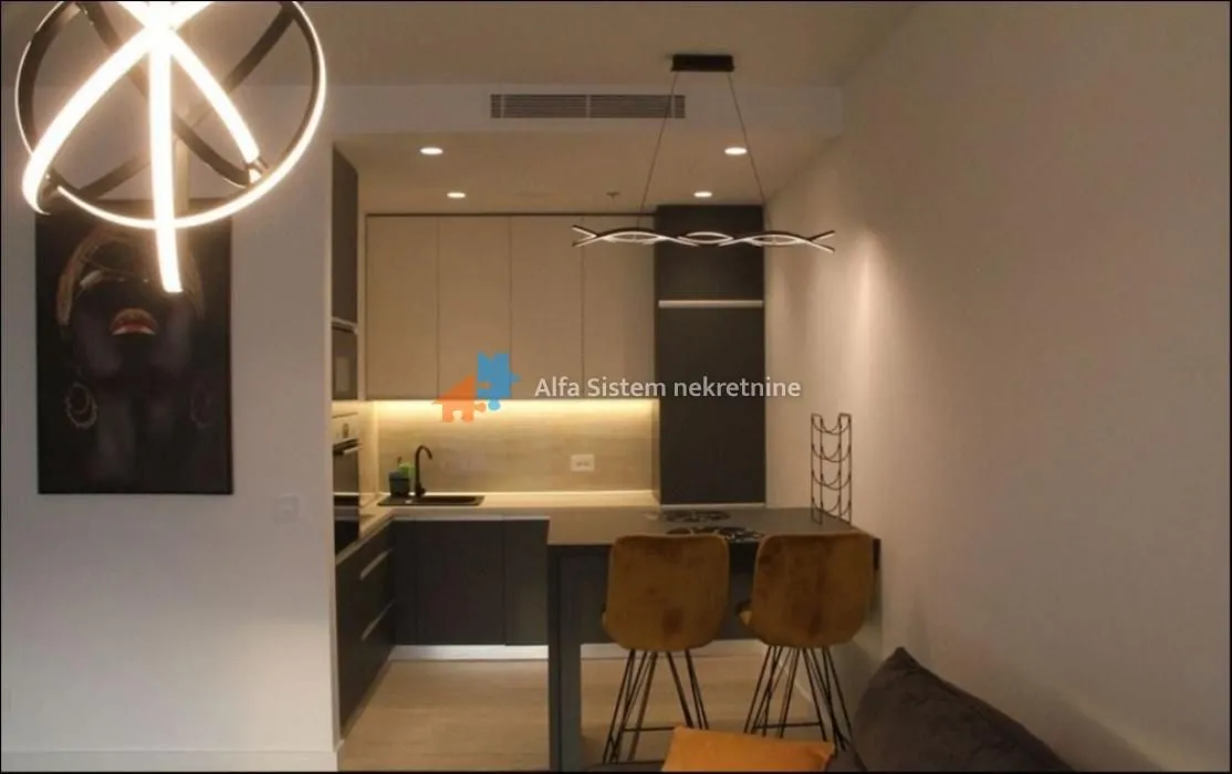 Izdavanje, dvosoban stan, 56m², Novi Beograd Blok 65, Novi Beograd Sve Podlokacije