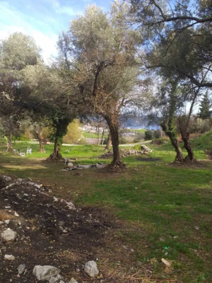 Prodaja, plac, 7000m², Herceg Novi, Crna Gora