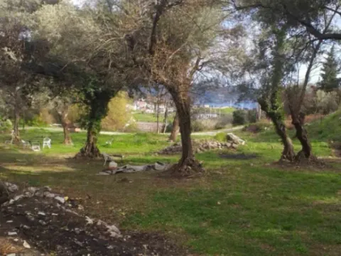 Sale, land lot, 7000m², Herceg Novi, Crna Gora - image 9