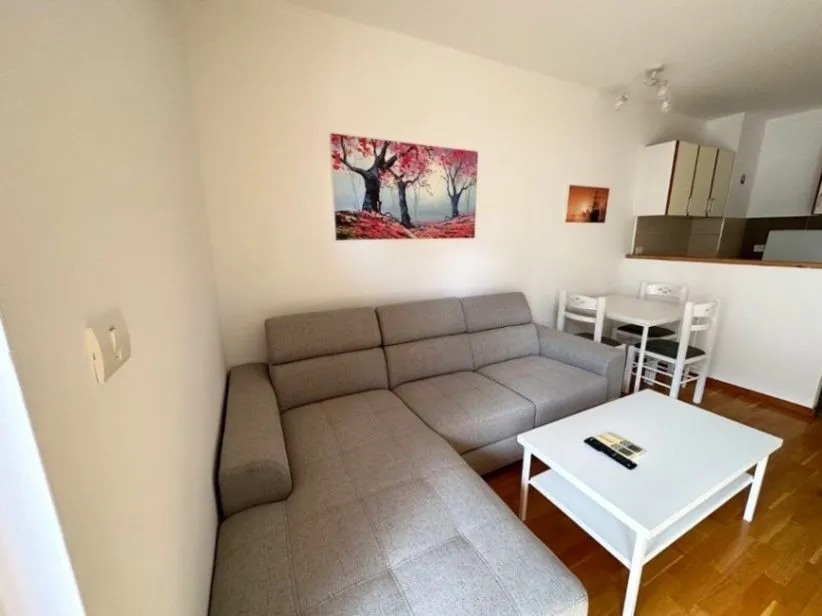 Izdavanje, jednosoban stan, 50m², City Kvart, Podgorica