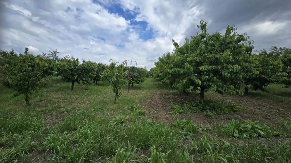 Prodaja, plac, 1100m², Ritopek, Grocka
