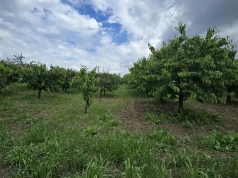 Prodaja, plac, 1100m², Ritopek, Grocka - image 4